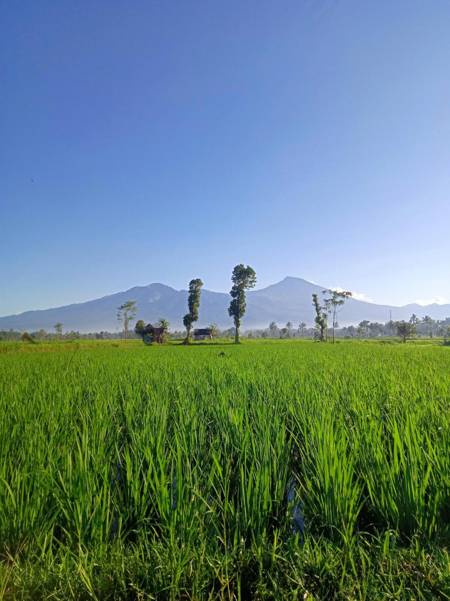 Tetebatu Sunrise Homestay Exterior photo